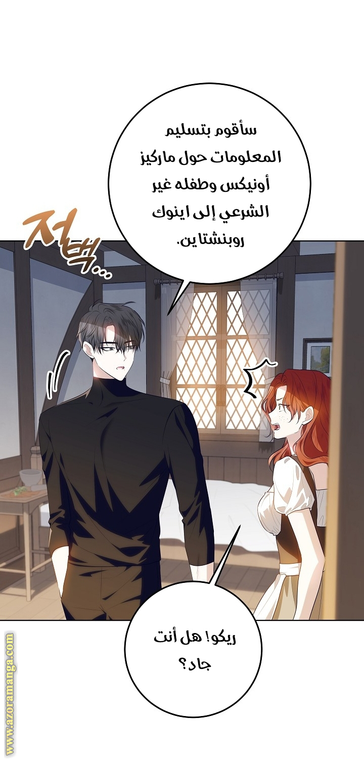 الصفحة 25