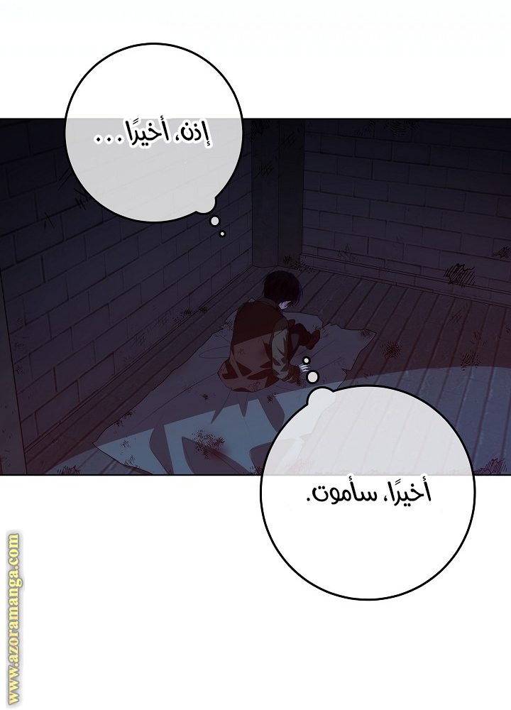 الصفحة 30