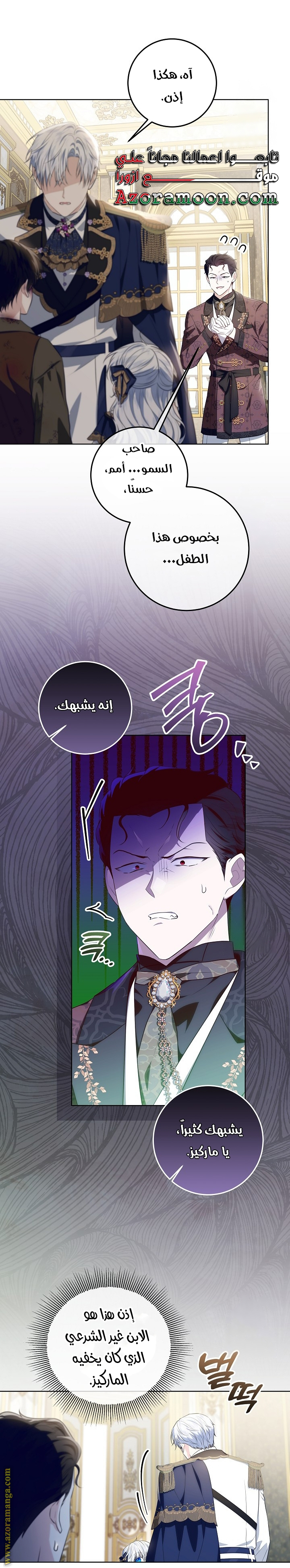 الصفحة 25