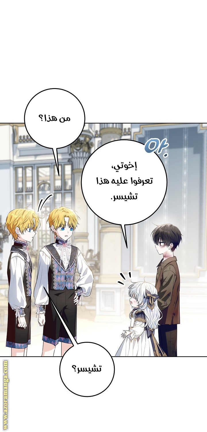 الصفحة 16