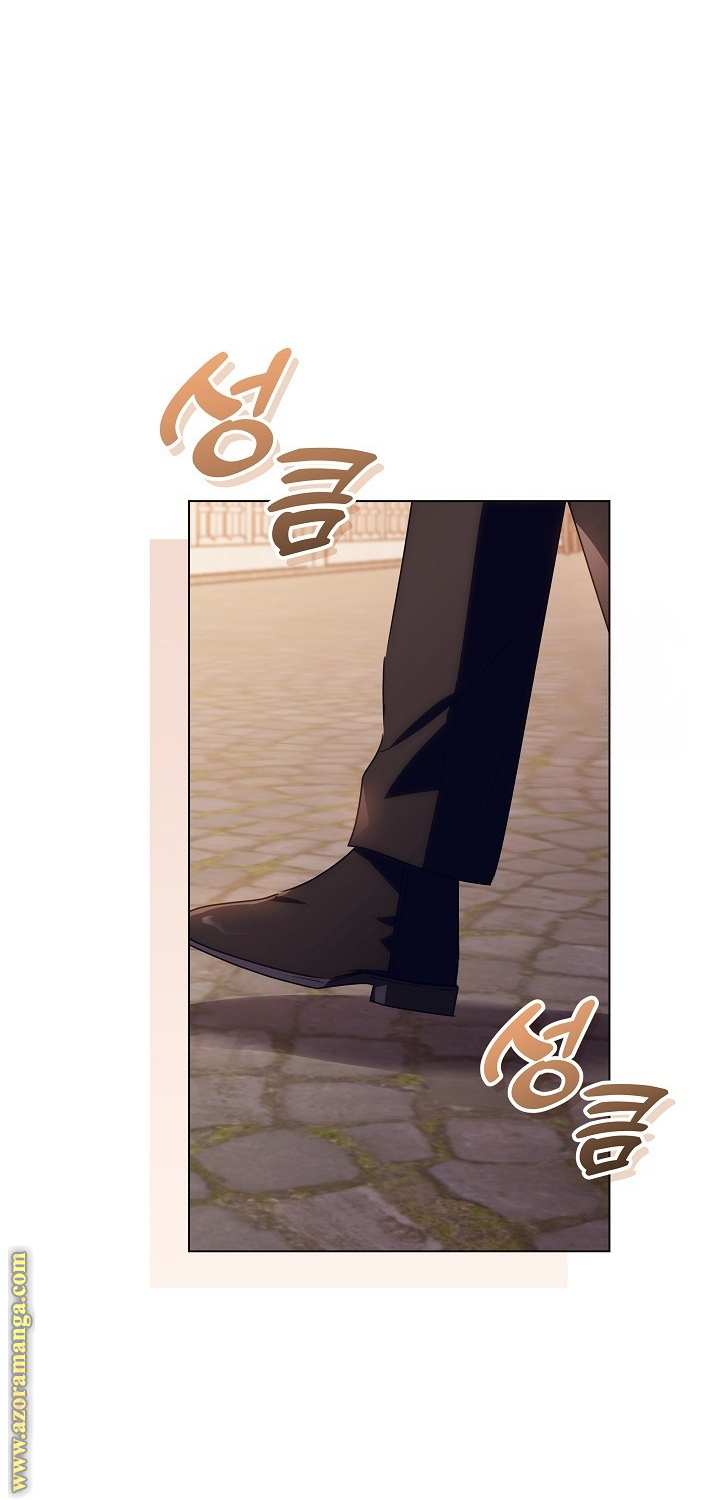 الصفحة 43