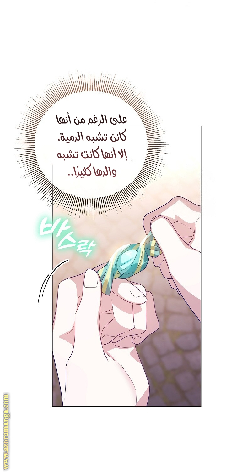 الصفحة 49