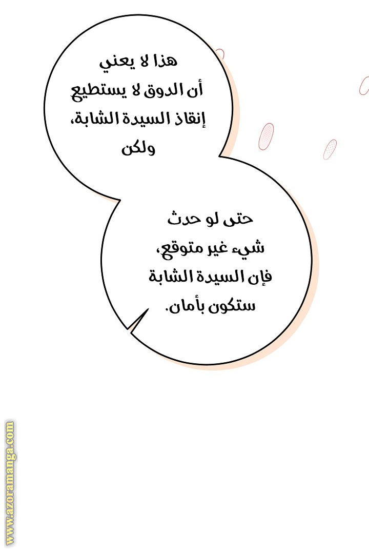 الصفحة 53
