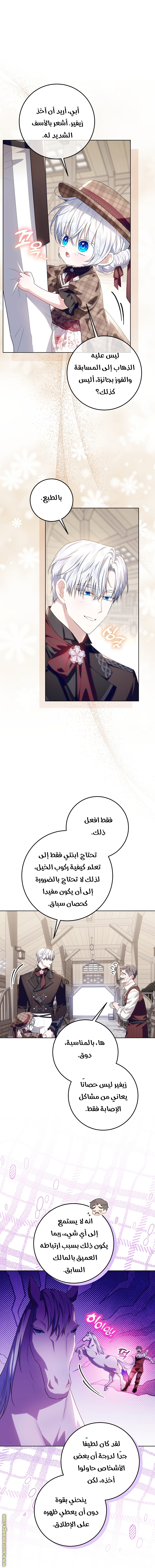 الصفحة 17