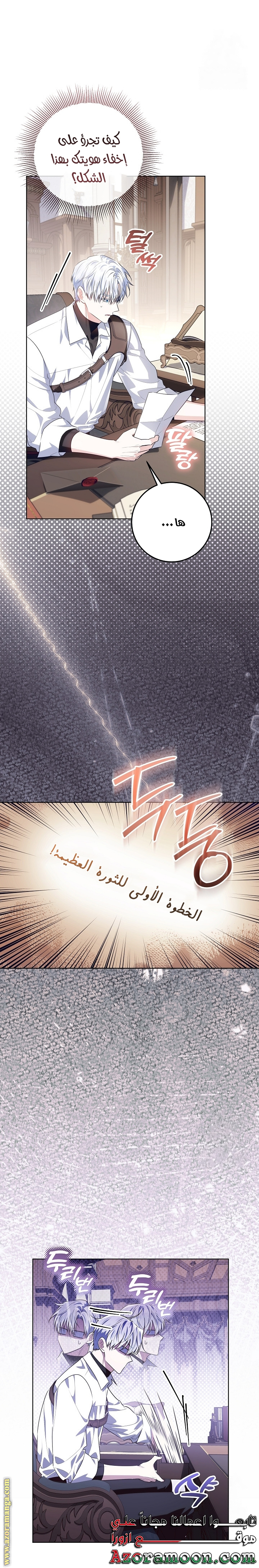 الصفحة 29