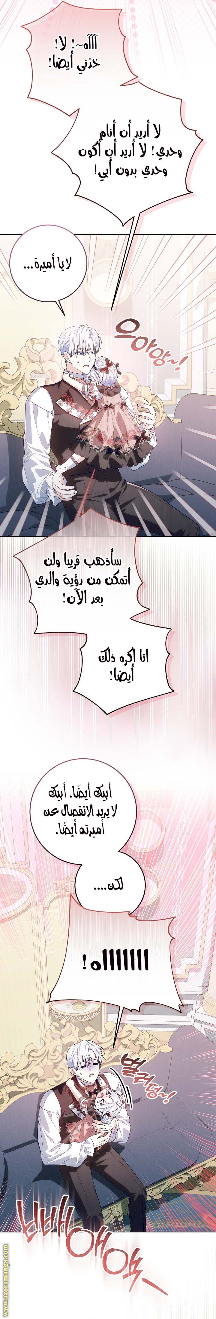 الصفحة 20