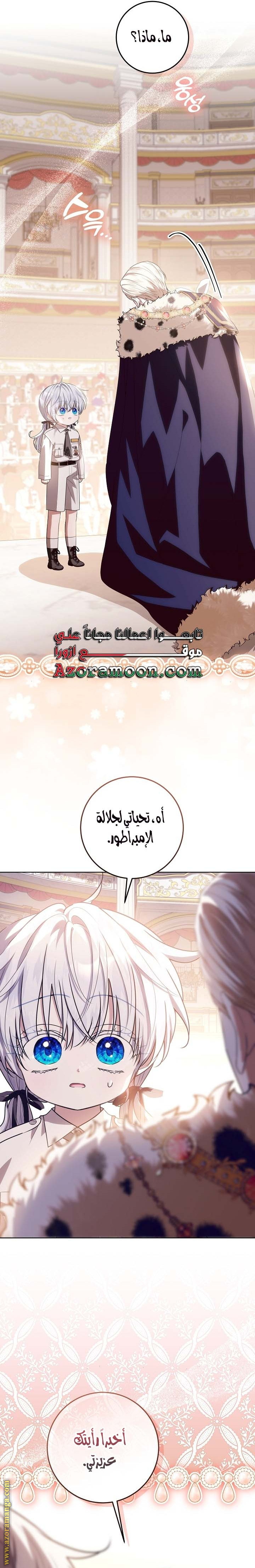 الصفحة 27
