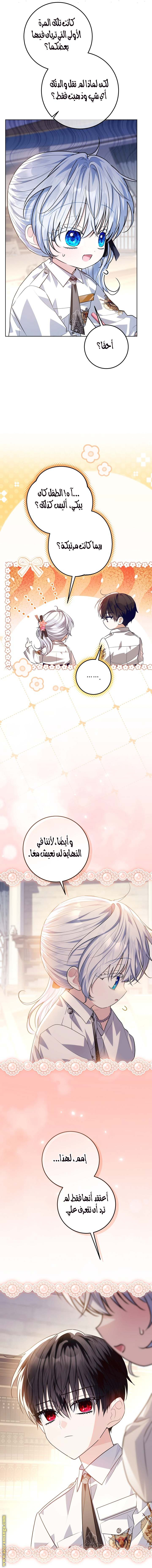 الصفحة 20