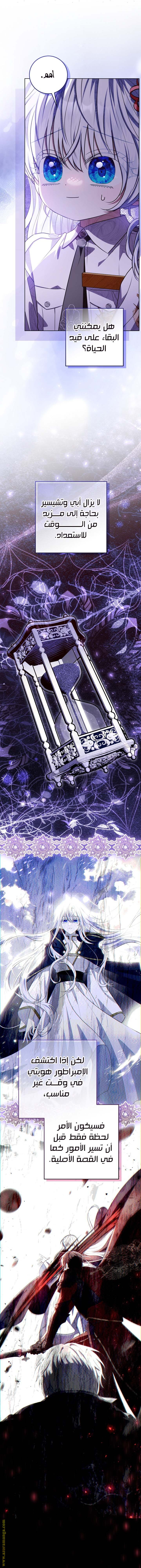 الصفحة 14