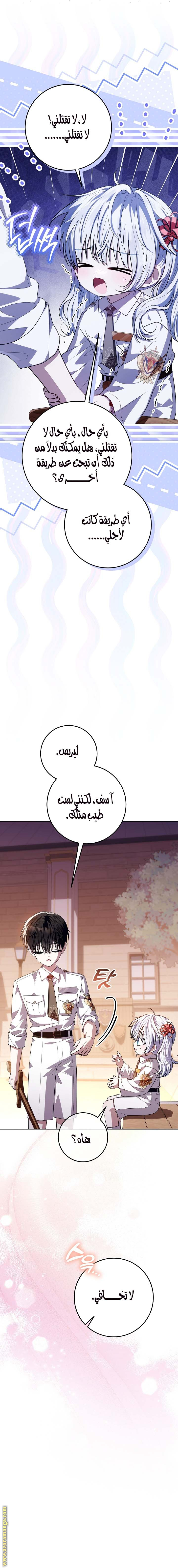 الصفحة 17