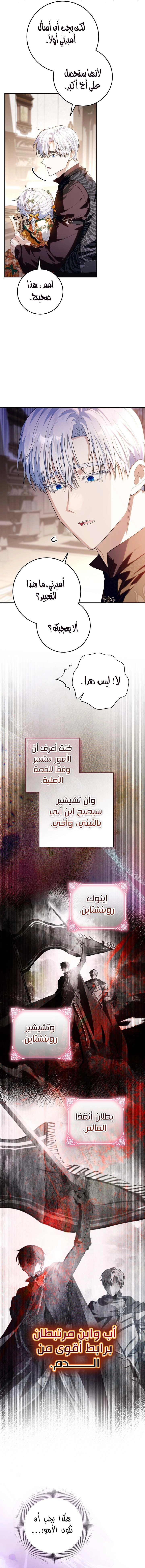 الصفحة 11