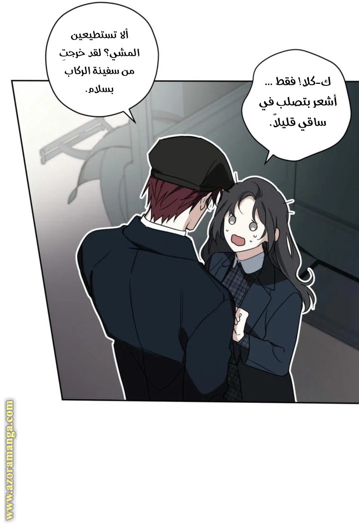 الصفحة 39