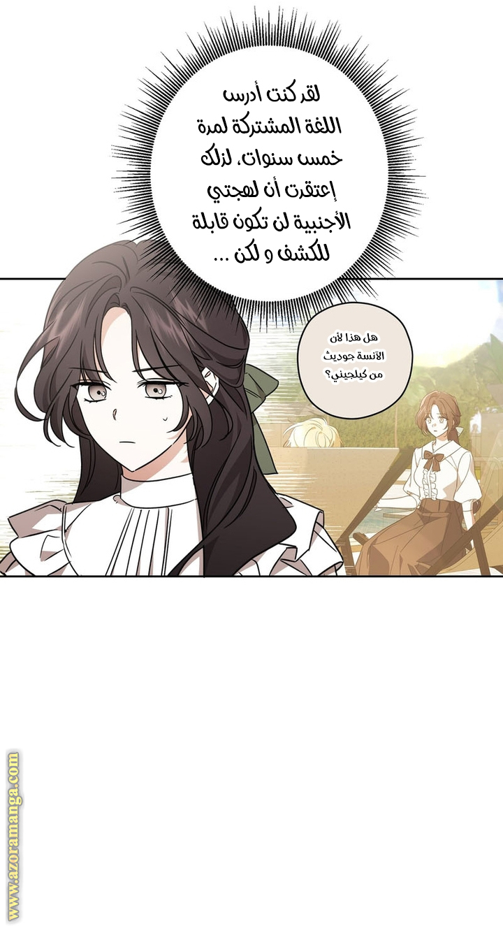 الصفحة 29