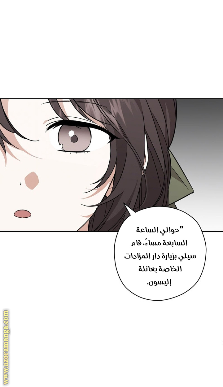 الصفحة 45