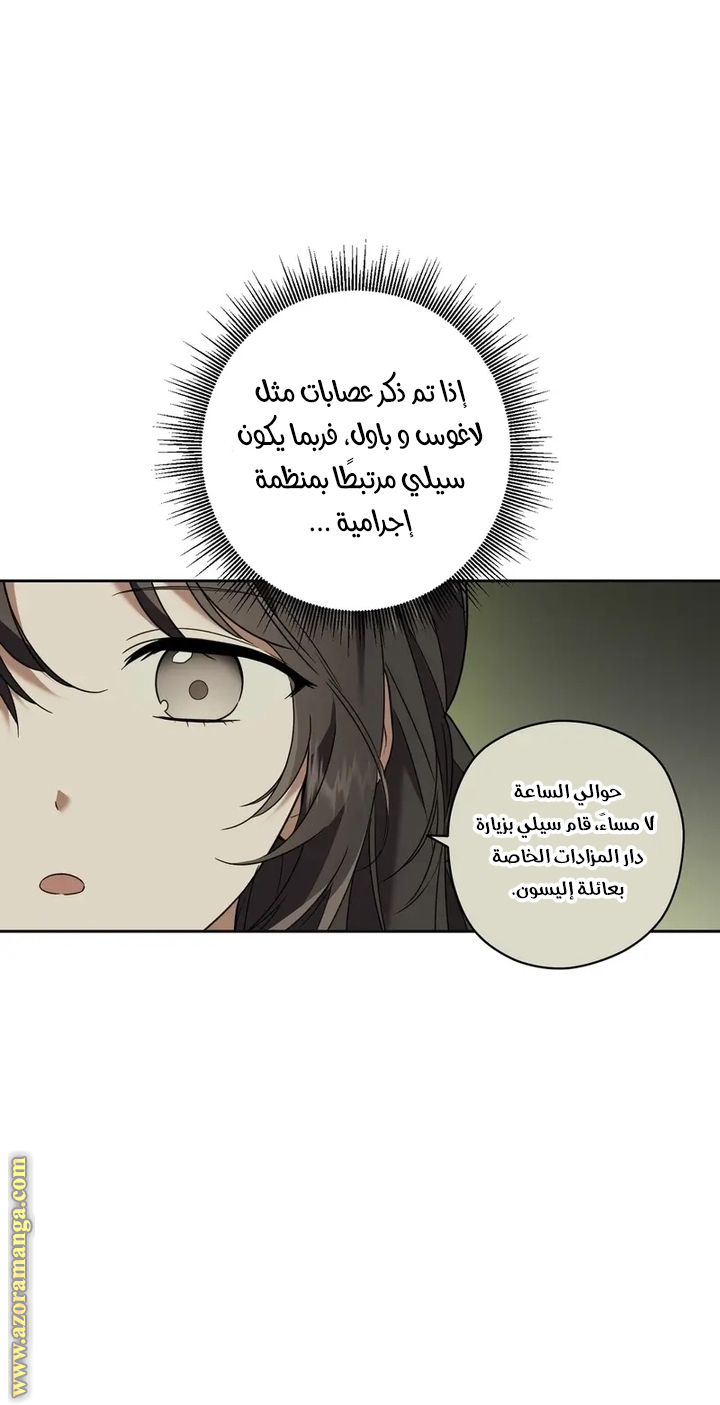 الصفحة 13