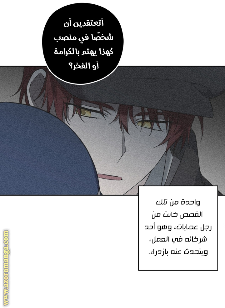 الصفحة 28