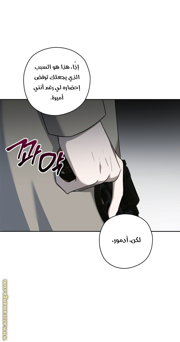 الصفحة 39
