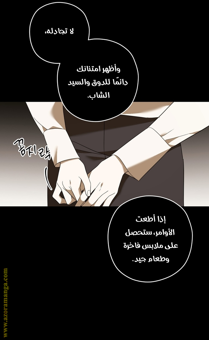 الصفحة 42