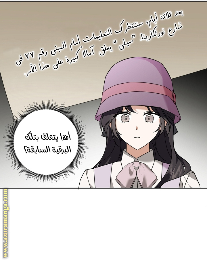 الصفحة 31
