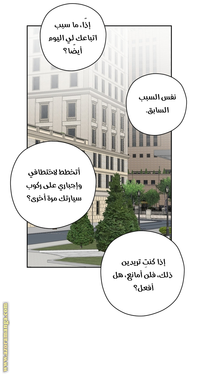 الصفحة 41