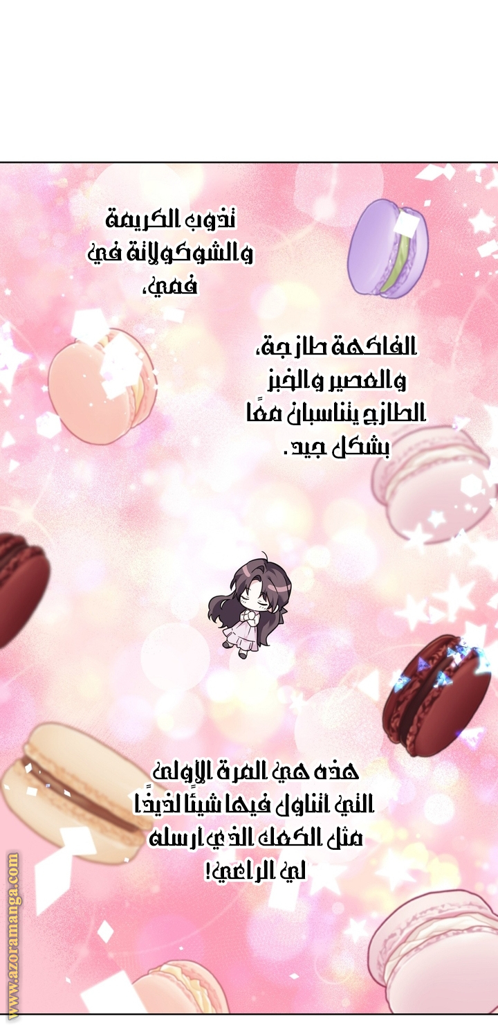 الصفحة 31
