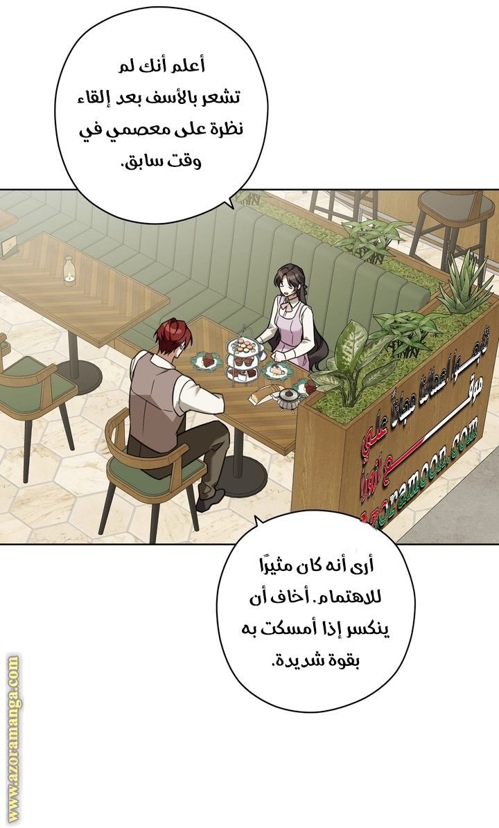 الصفحة 39
