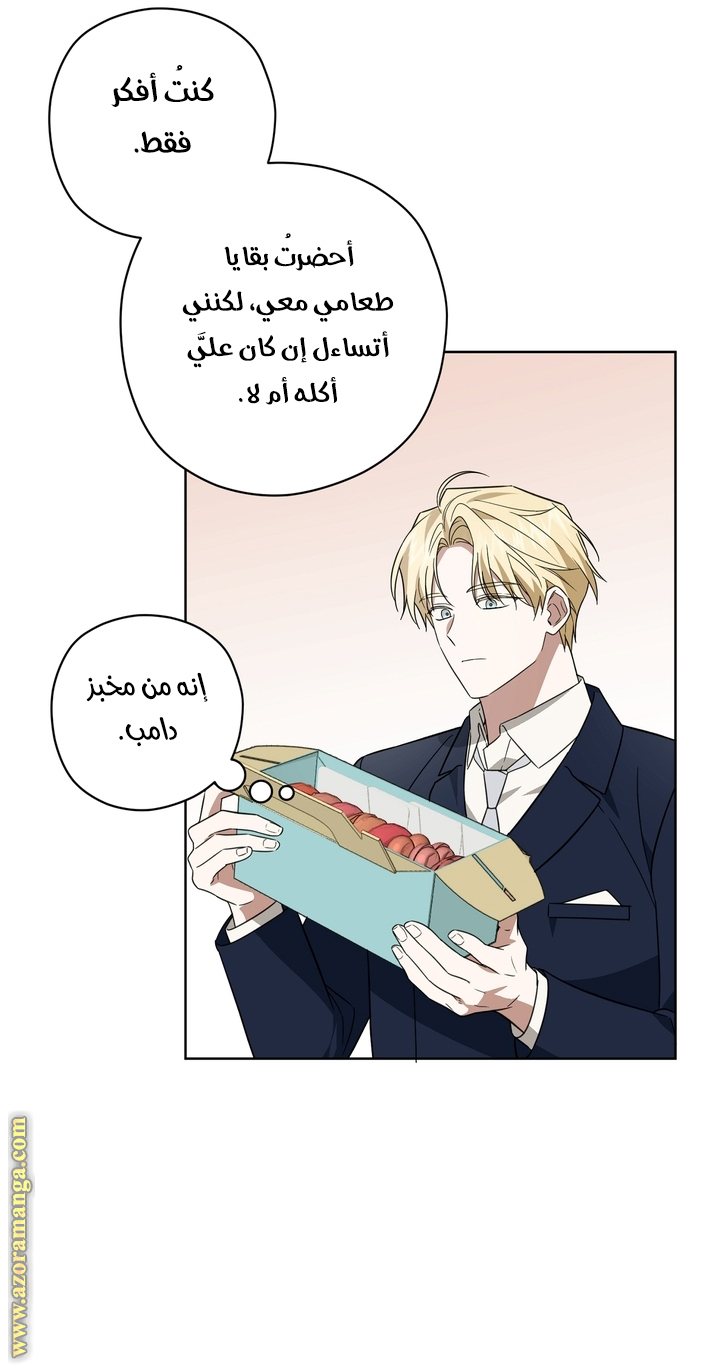 الصفحة 30