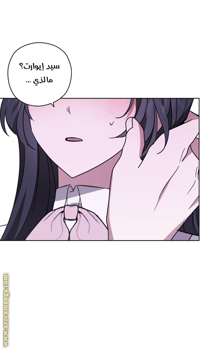 الصفحة 25