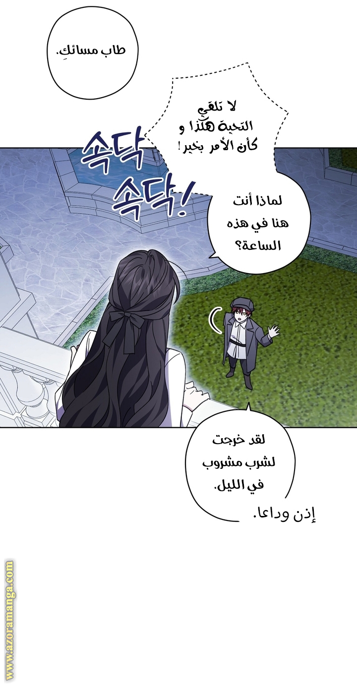 الصفحة 41