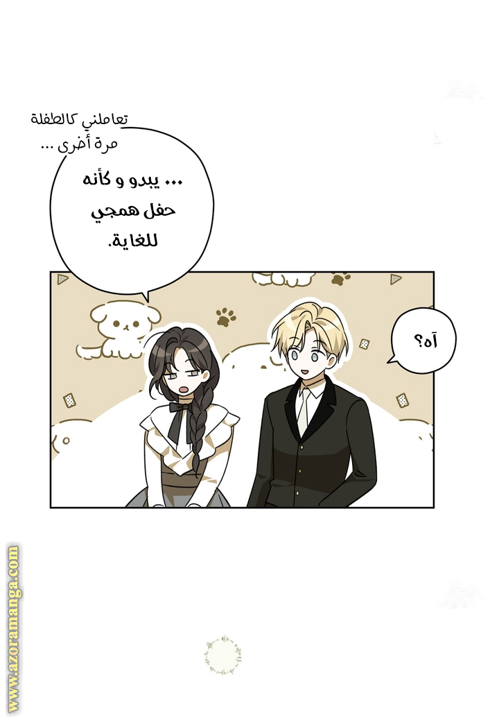 الصفحة 27