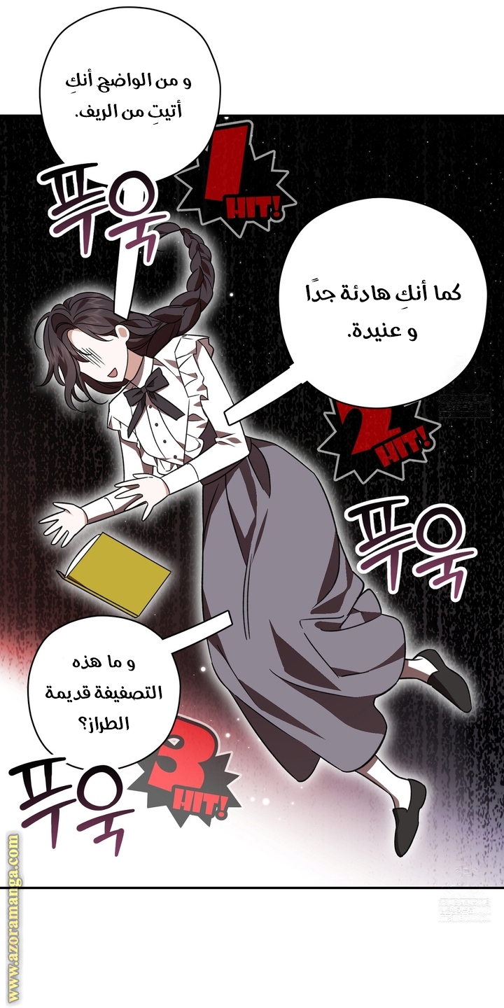 الصفحة 33