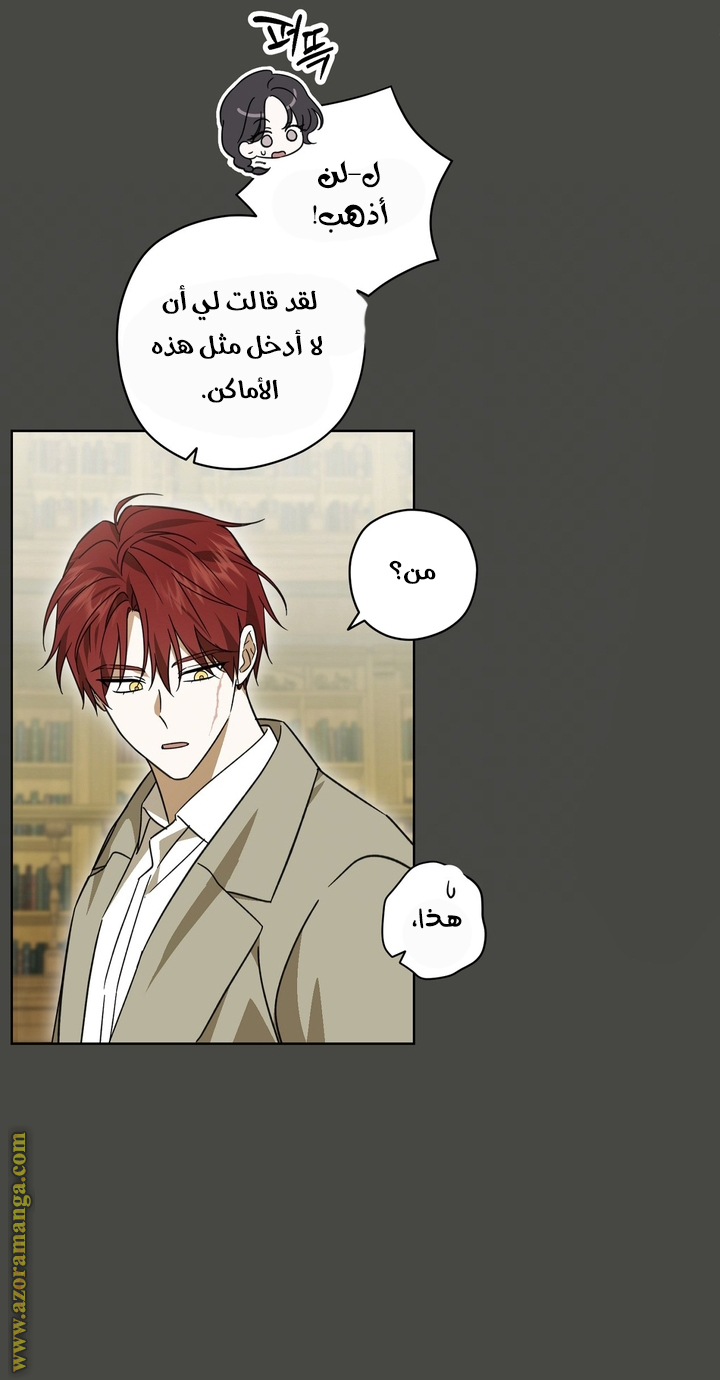 الصفحة 42