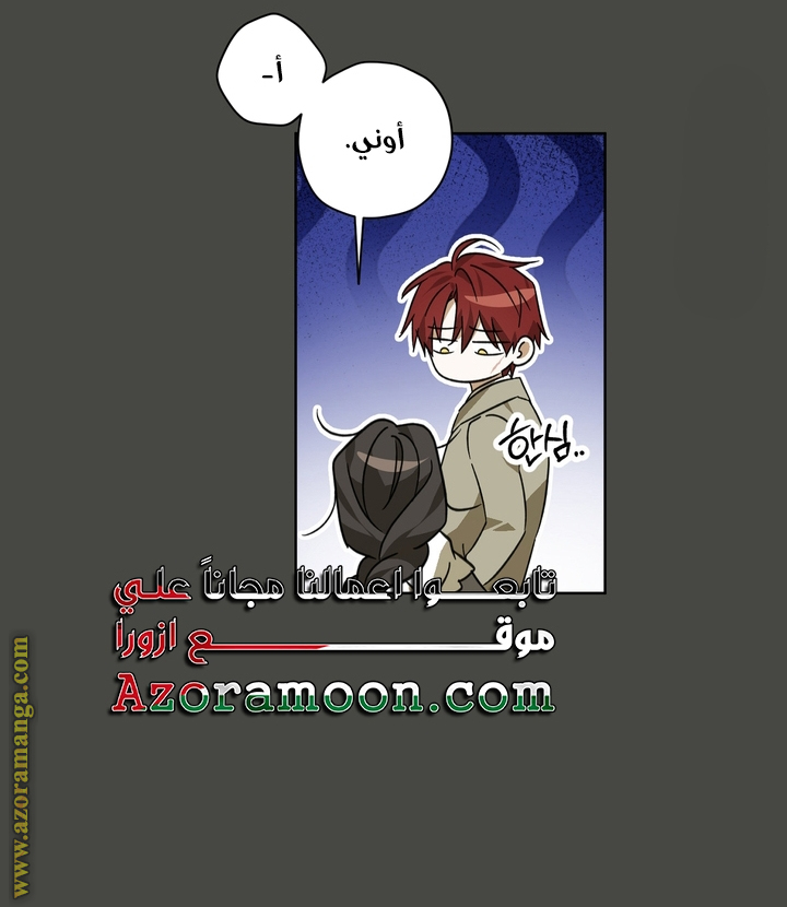 الصفحة 43