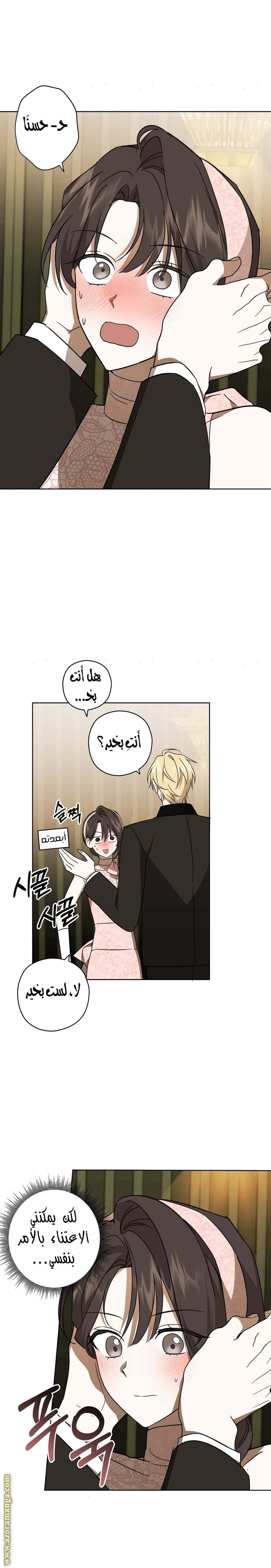 الصفحة 19