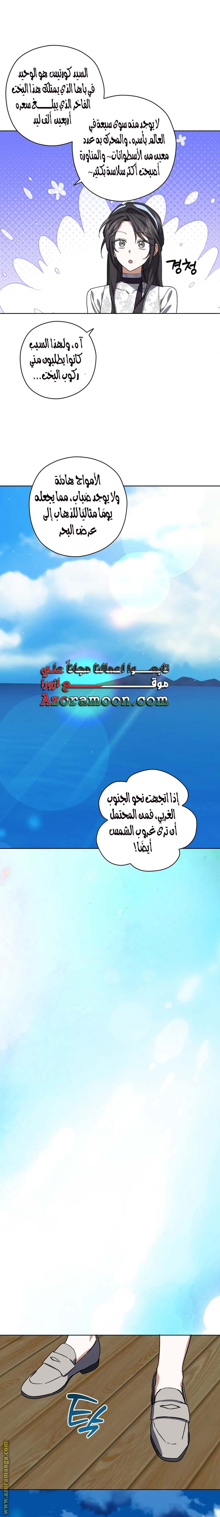 الصفحة 17