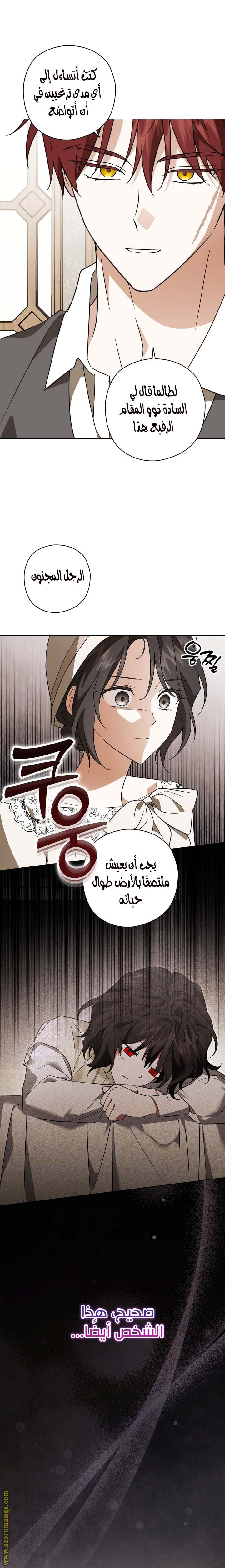 الصفحة 21