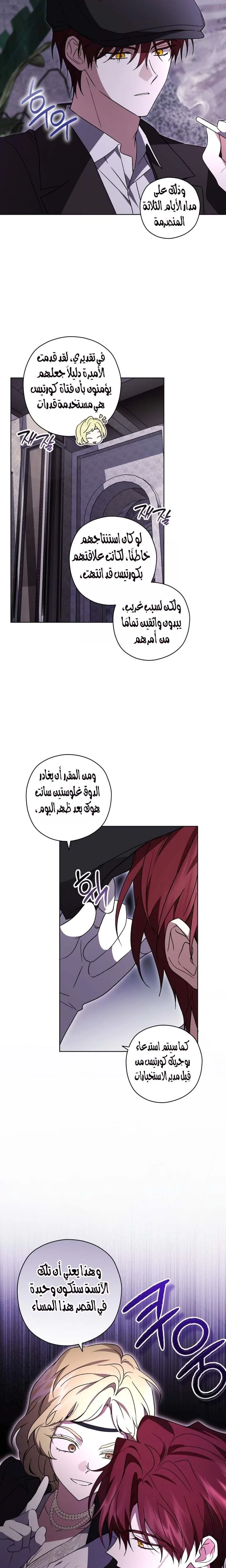 الصفحة 17
