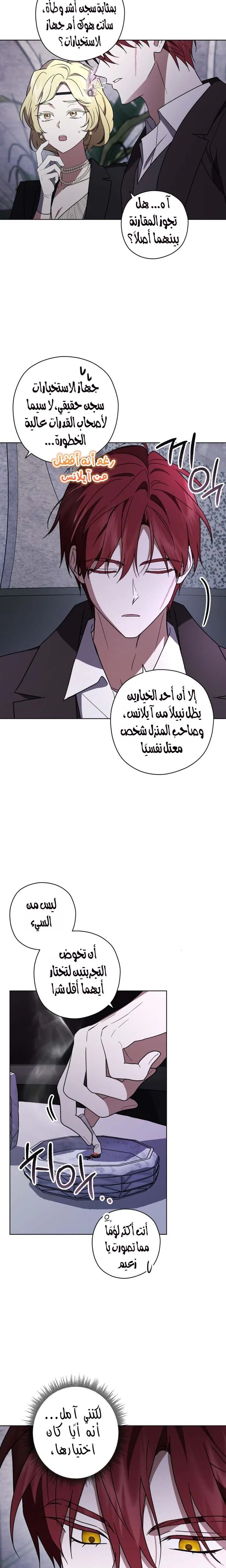 الصفحة 19