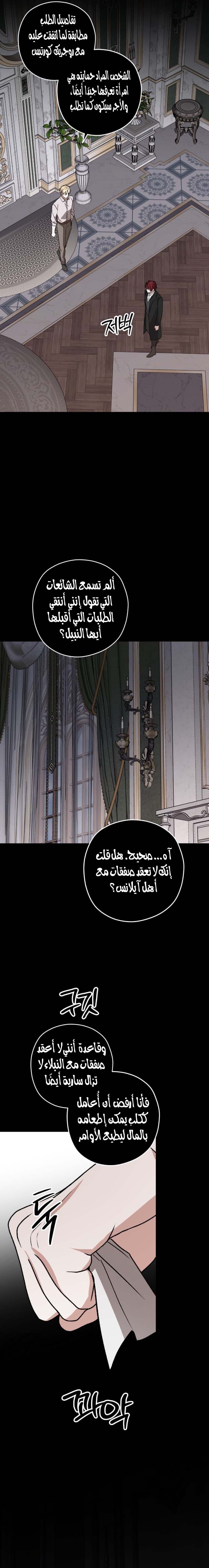 الصفحة 17