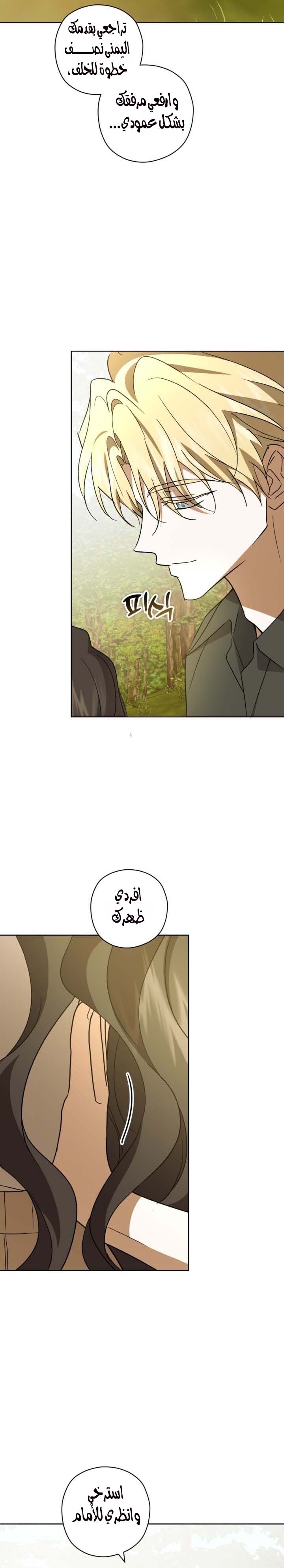 الصفحة 17