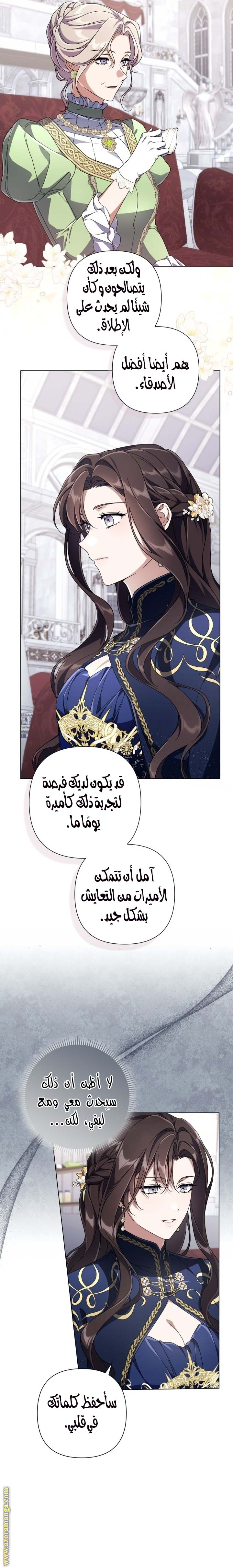الصفحة 17