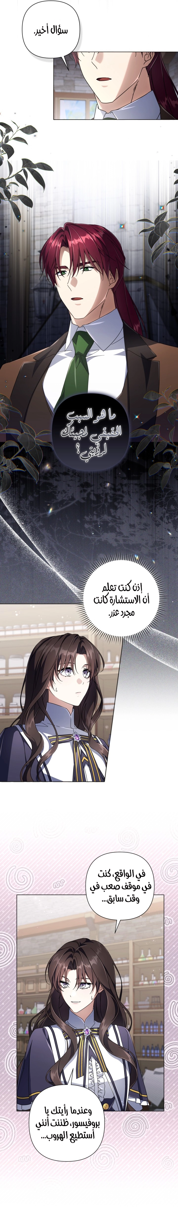 الصفحة 13