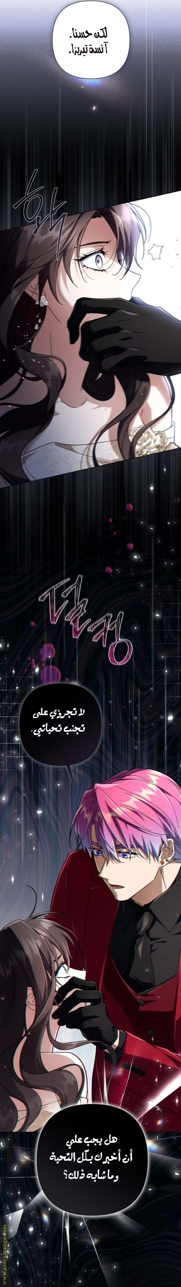 الصفحة 25