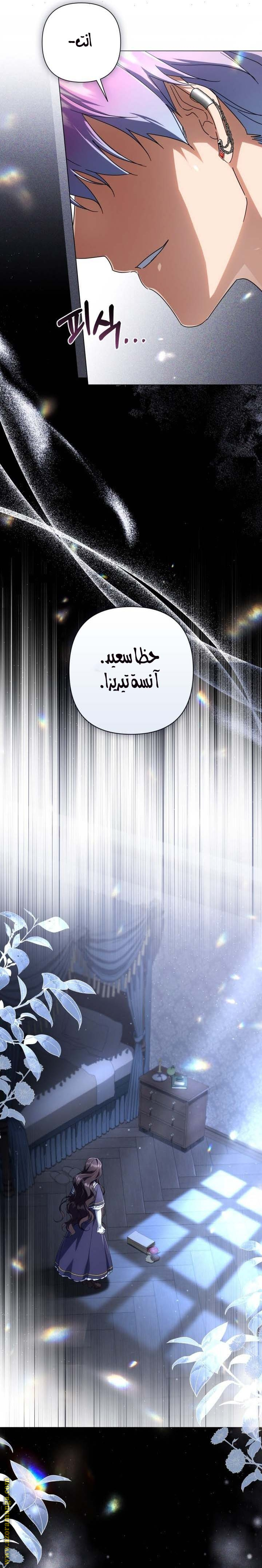 الصفحة 27