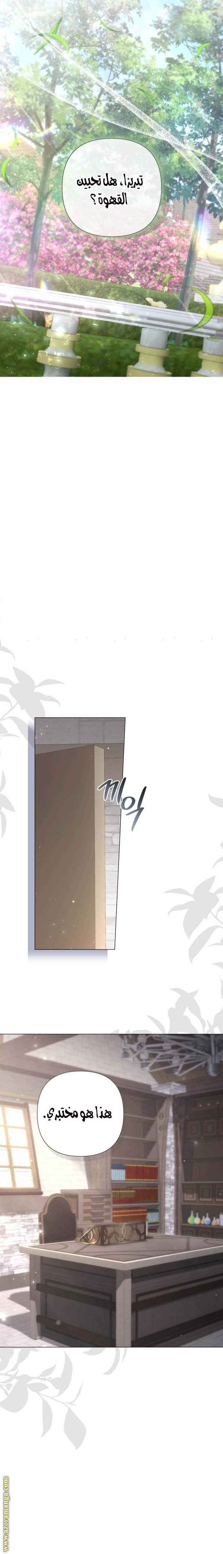 الصفحة 13