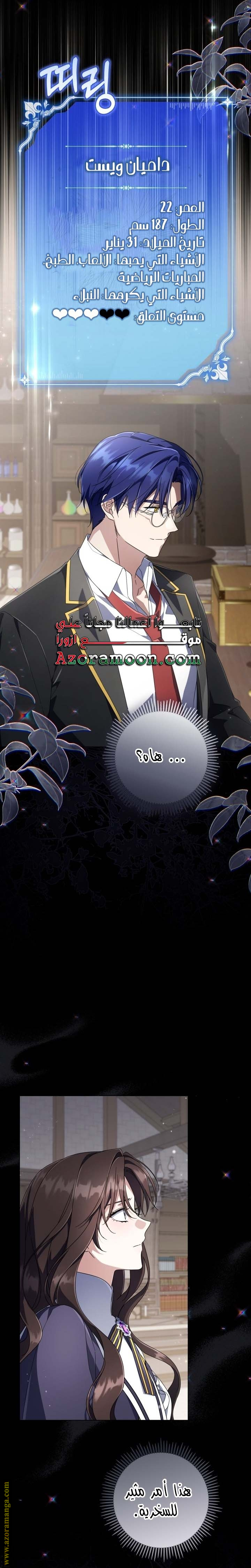 الصفحة 17
