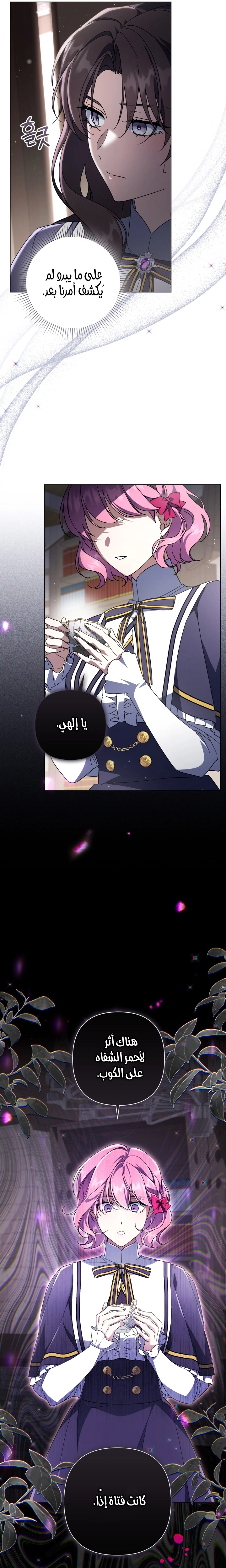 الصفحة 16