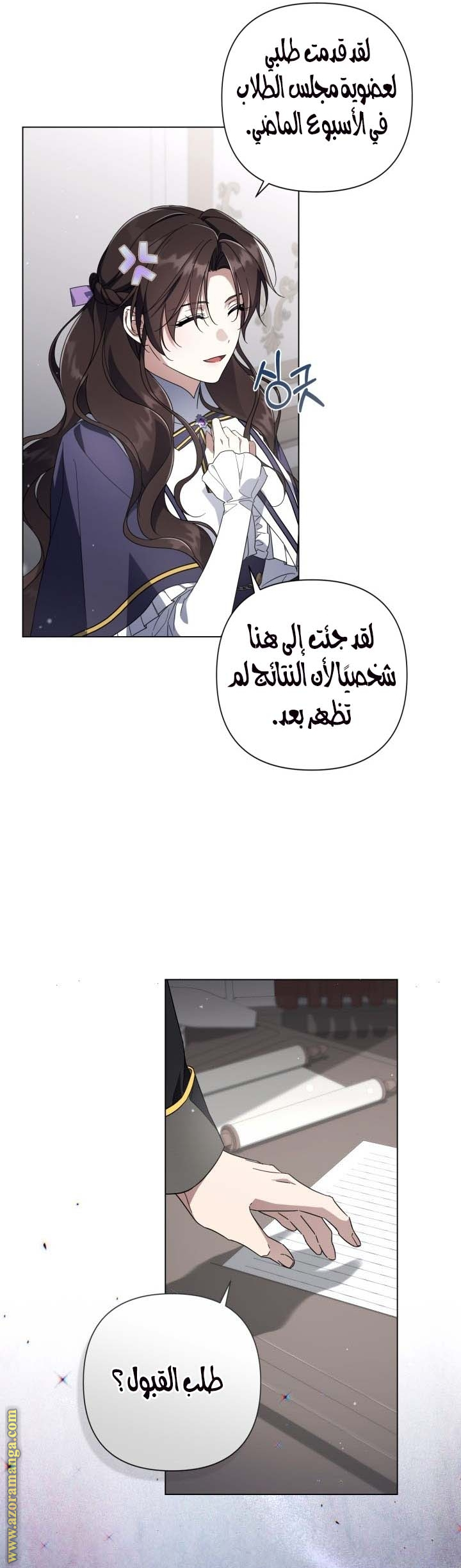 الصفحة 17