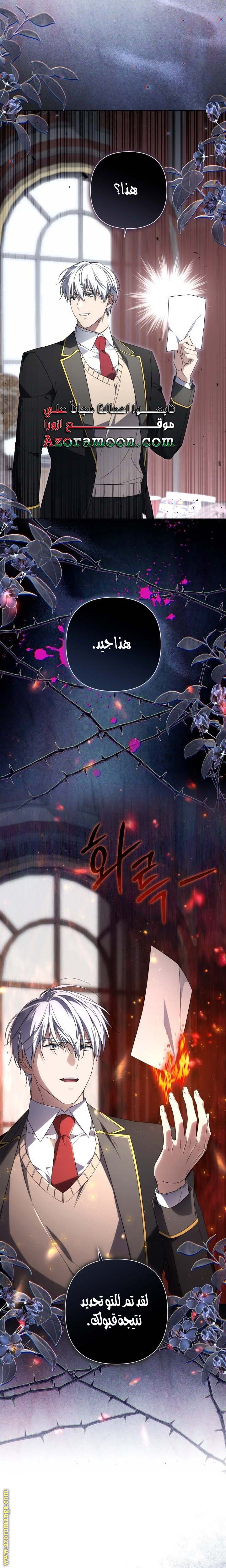 الصفحة 18