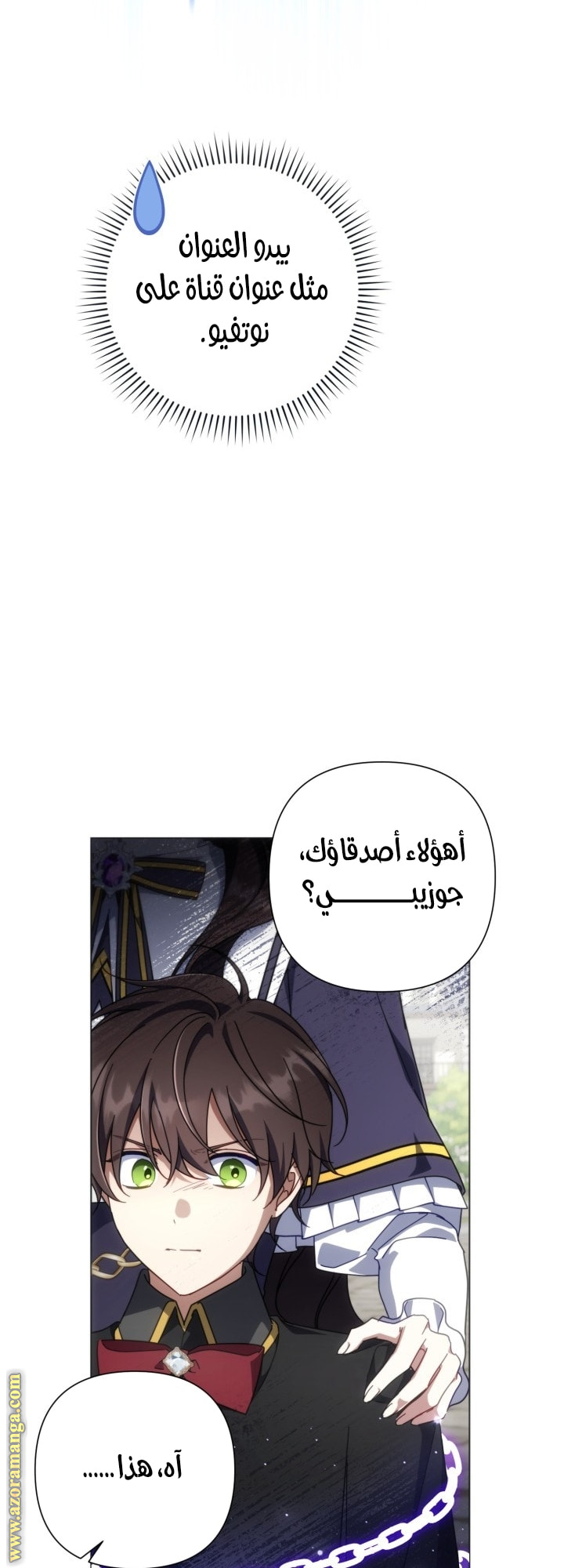 الصفحة 13
